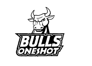 BULLS ONESHOT logo