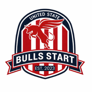 BULLS START logo