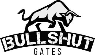 BULLSHUT GATES logo