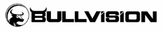 BULLVISION logo