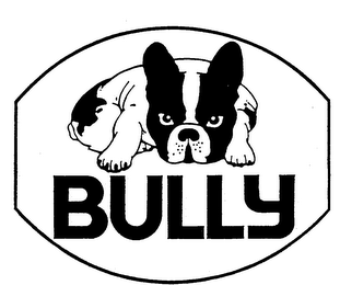BULLY