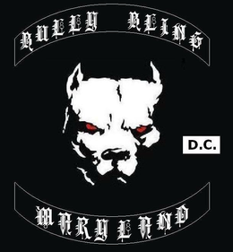 BULLY BLING MARYLAND D.C. logo