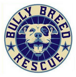 BULLY BREED RESCUE logo
