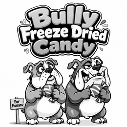 BULLY FREEZE DRIED CANDY FOR HUMANS logo