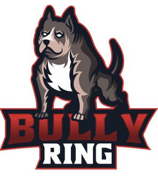 BULLY RING logo