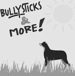 BULLYSTICKS & MORE logo