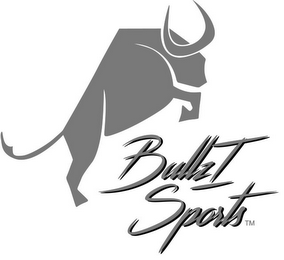 BULLZI SPORTS logo