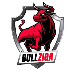 BULLZIGA logo
