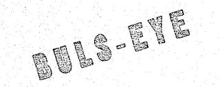 BULS-EYE logo