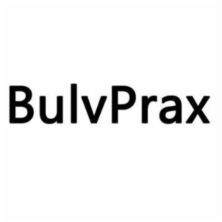 BULVPRAX logo