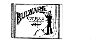 BULWARK CUT PLUG logo