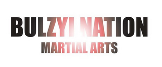 BULZYINATION MARTIAL ARTS logo