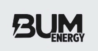 BUM ENERGY logo