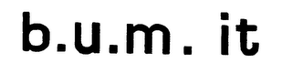 B.U.M. IT logo