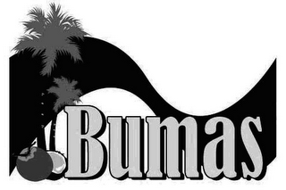 BUMAS logo