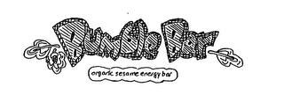 BUMBLE BAR ORGANIC SESAME ENERGY BAR logo