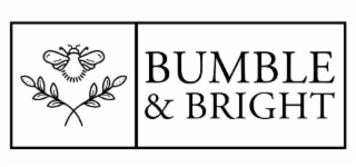 BUMBLE & BRIGHT logo