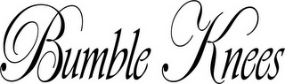 BUMBLE KNEES logo
