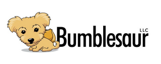 BUMBLESAUR LLC logo