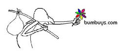 BUMBUYS.COM logo