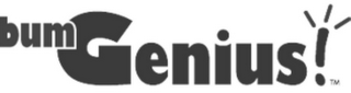 BUMGENIUS! logo