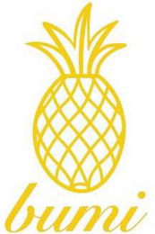 BUMI logo