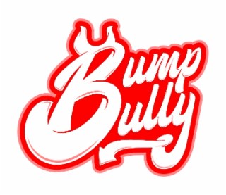 BUMP BULLY logo