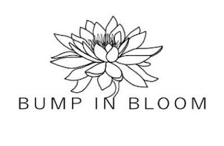 BUMP IN BLOOM logo