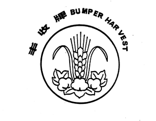 BUMPER HARVEST logo