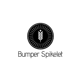 BUMPER SPIKELET logo