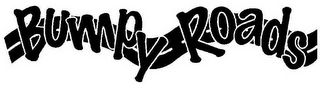 BUMPY ROADS logo