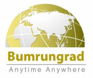 BUMRUNGRAD ANYTIME ANYWHERE logo