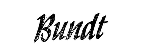 BUNDT logo