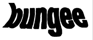 BUNGEE logo