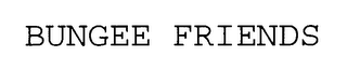 BUNGEE FRIENDS logo