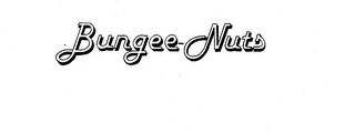 BUNGEE-NUTS logo