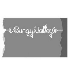 BUNGY VALLEY logo