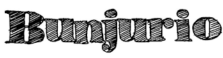 BUNJURIO logo