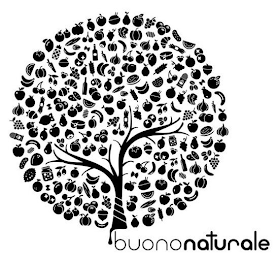 BUONONATURALE logo