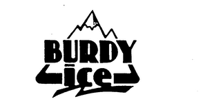 BURDY ICE logo