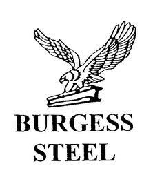 BURGESS STEEL logo