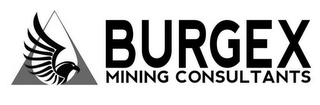 BURGEX MINING CONSULTANTS logo