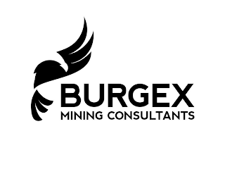 BURGEX MINING CONSULTANTS logo