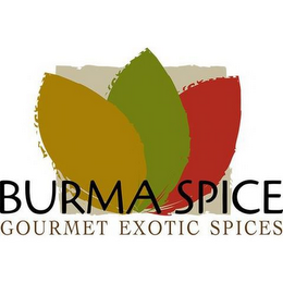 BURMA SPICE GOURMET EXOTIC SPICES logo