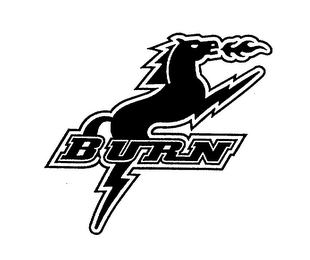 BURN logo