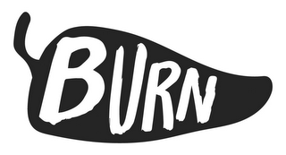 BURN logo