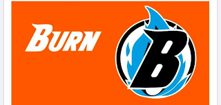 BURN B logo