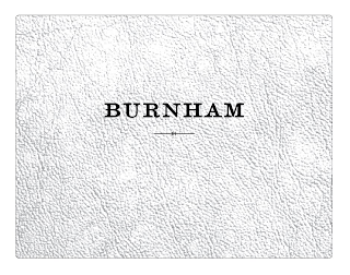 BURNHAM logo