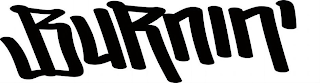 BURNIN logo