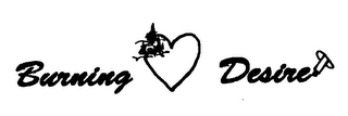BURNING DESIRE logo